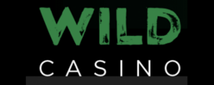 Wild Casino review
